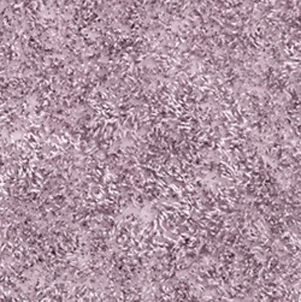 Коврик Wasserkraft Kammel BM-8334, напольный, цвет - лиловый, 55 х 55 см, Light Lilac