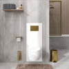 Инсталляция для унитаза Wasserkraft Salm 27TLT.010.ME.WH.MG04, декоративная стеклянная панель белая, механическая кнопка смыва золото матовое