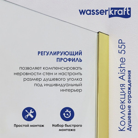 Душевой уголок Wasserkraft Aisch 55P17, 100 х 80 х 200 см, профиль матовое золото, стекло прозрачное