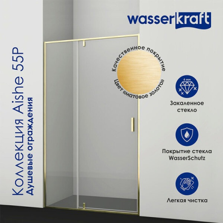 Душевая дверь в нишу Wasserkraft Aisch 55P12, 100 х 200 см, профиль матовое золото, стекло прозрачное